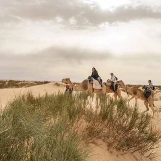 tourhub | VirSem Fun & Travel | Explore the Sahara: 7-Day Camel Trek Adventure in Tunisia 