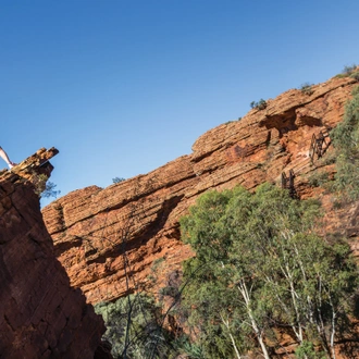 tourhub | G Adventures | Iconic Australia: Famous Cities & Red Centre Explorer 