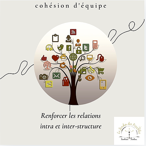 Représentation de la formation : ST - Cohésion d'équipe : Renforcer les relations intra et interstructure