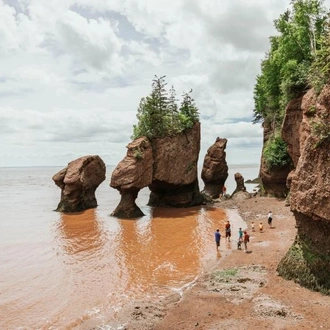 tourhub | Omega Tours | Wonders of the Bay of Fundy 