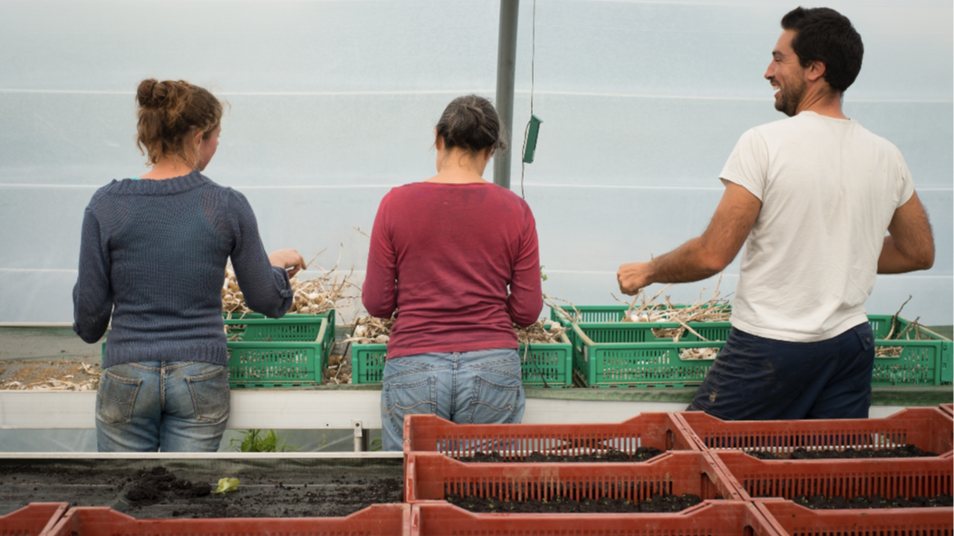 Représentation de la formation : Les obligations de l'employeur de main d’œuvre agricole en matière du droit du travail