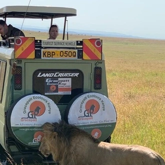 tourhub | Gracepatt Ecotours Kenya | 4 Days Masai Mara and Lake Nakuru Camping Safari on 4x4 Jeep 