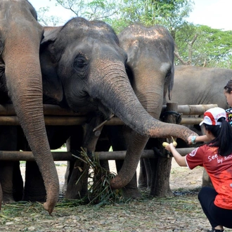 tourhub | SpiceRoads Cycling | Chiang Mai Family Explorer 