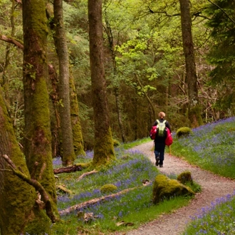 tourhub | The Natural Adventure | Walking the West Highland Way: Milngavie to Inverarnan 