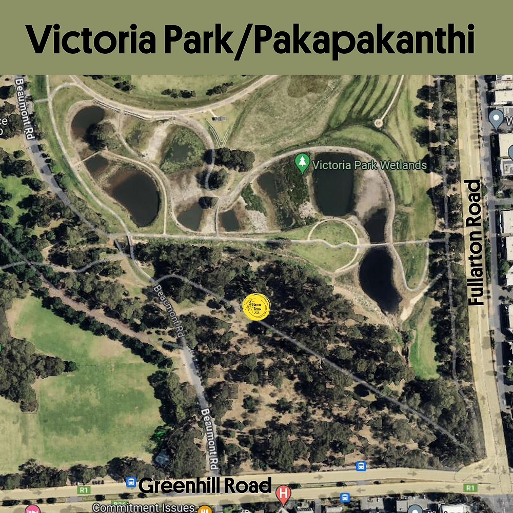 Image showing the location of the Nature Forum in Victoria Park