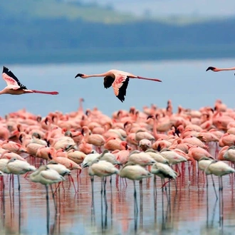 tourhub | Today Voyages | Kenya Highlights 