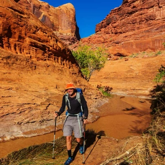 tourhub | Intrepid Travel | Hiking and Backpacking Utah's Coyote Gulch		 