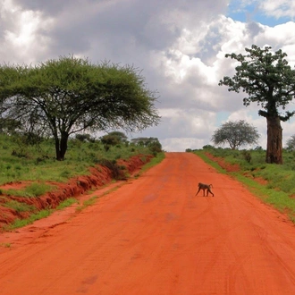 tourhub | ARP Travel Group | Safari to Tsavo East, Short Break (On Request) 