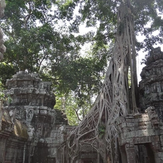 tourhub | Bamba Travel | Vietnam & Cambodia Experience 8D/7N 