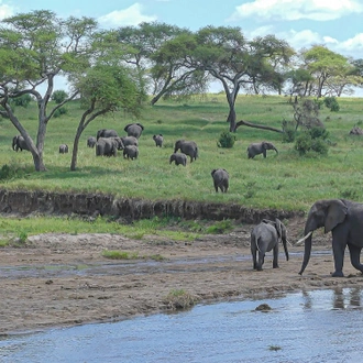 tourhub | Mbega African Safaris | 3-Days Tanzania Safari, Tarangire, Ngorongoro, Lake Manyara 