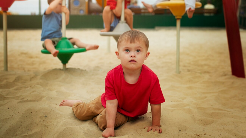 Représentation de la formation : L’inclusion en EAJE: mise en œuvre au quotidien