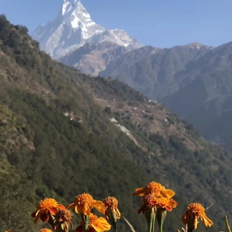 tourhub | Himalayan Sanctuary Adventure | Ghorepani Poon Hill Trek 