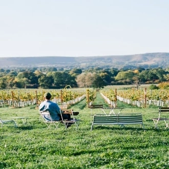 tourhub | Travel Editions | Food and Wine in Sussex with Valentina Harris 