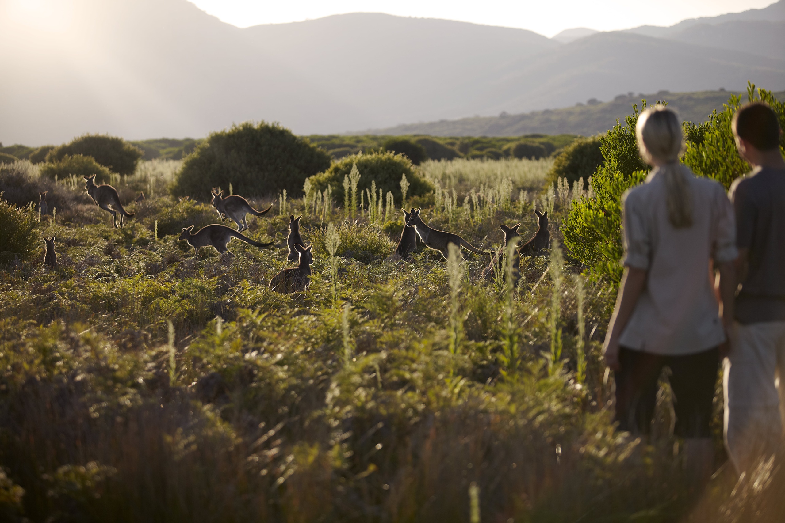 1-Day Tour to Appreciate Breathtaking Coastal Landscapes and Meet Untouched Wilderness in Wilson's Promontory 