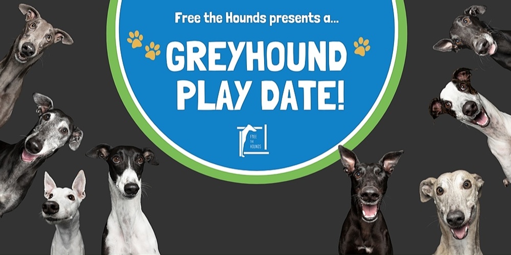 26 March Greyhound Play Date (RSPCA)