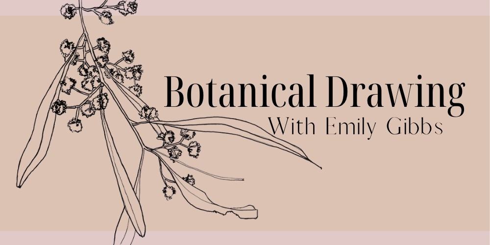 Learn Botanical Drawing with Emily Gibbs