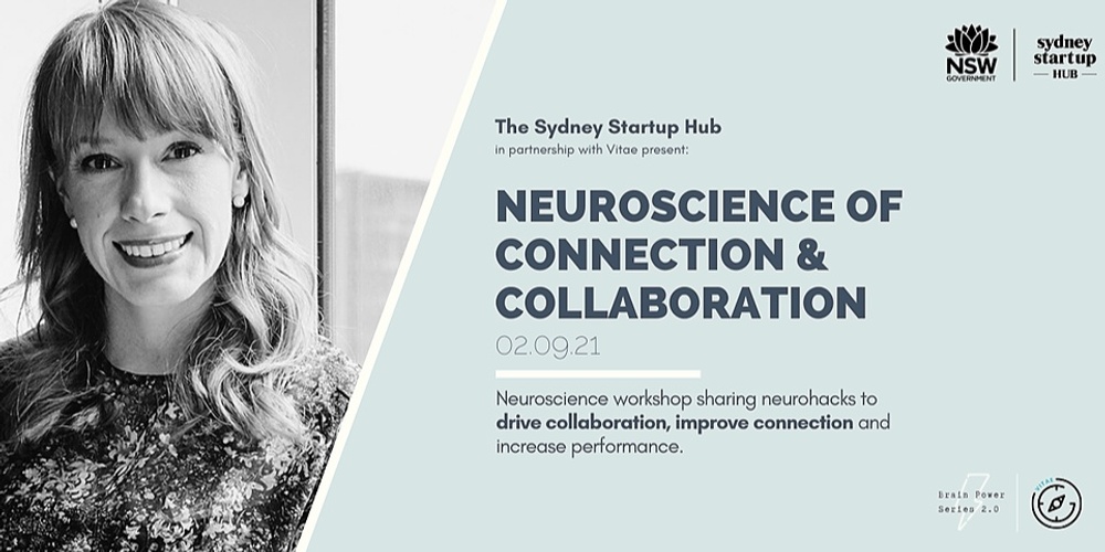 Brain Power Series 2.0: Neuroscience of Connection & Collaboration