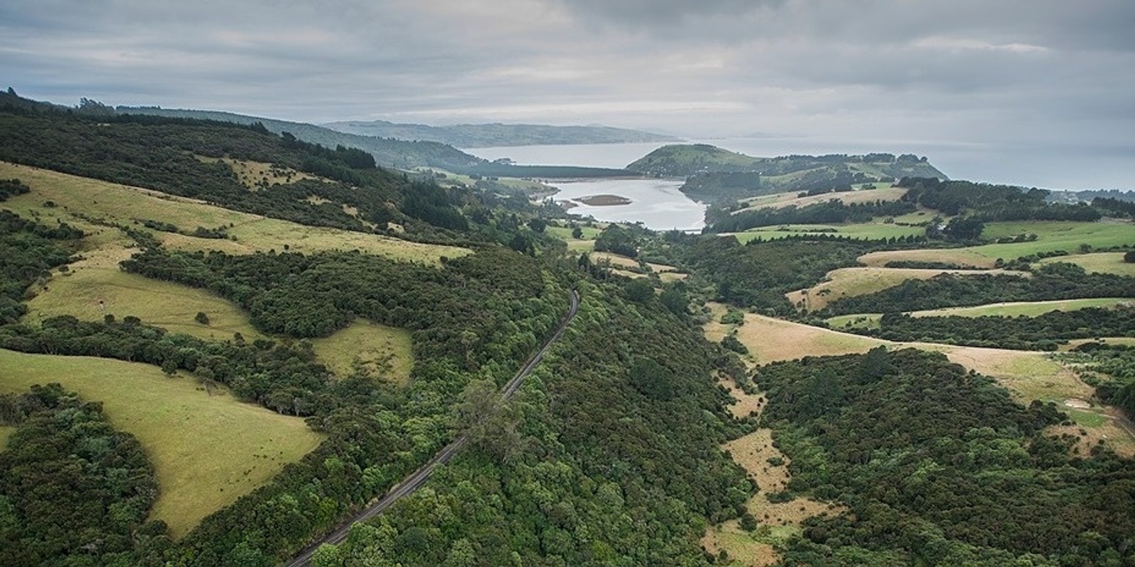 Banner image for Reforesting Dunedin - Landowners Field Trip POSTPONED