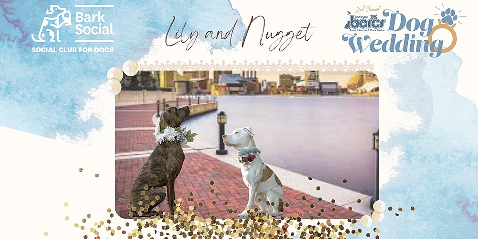 Banner image for BARCS Presents: Lily + Nugget's Engagement Celebration! 