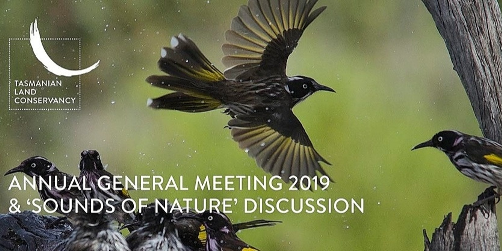 Banner image for Tasmanian Land Conservancy Annual General Meeting 2019