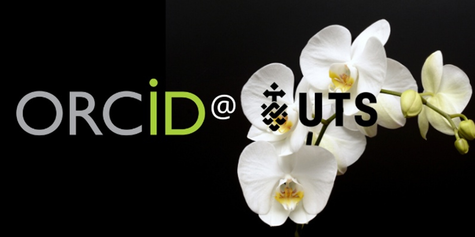 Banner image for ORCID at UTS : Research support staff capability building