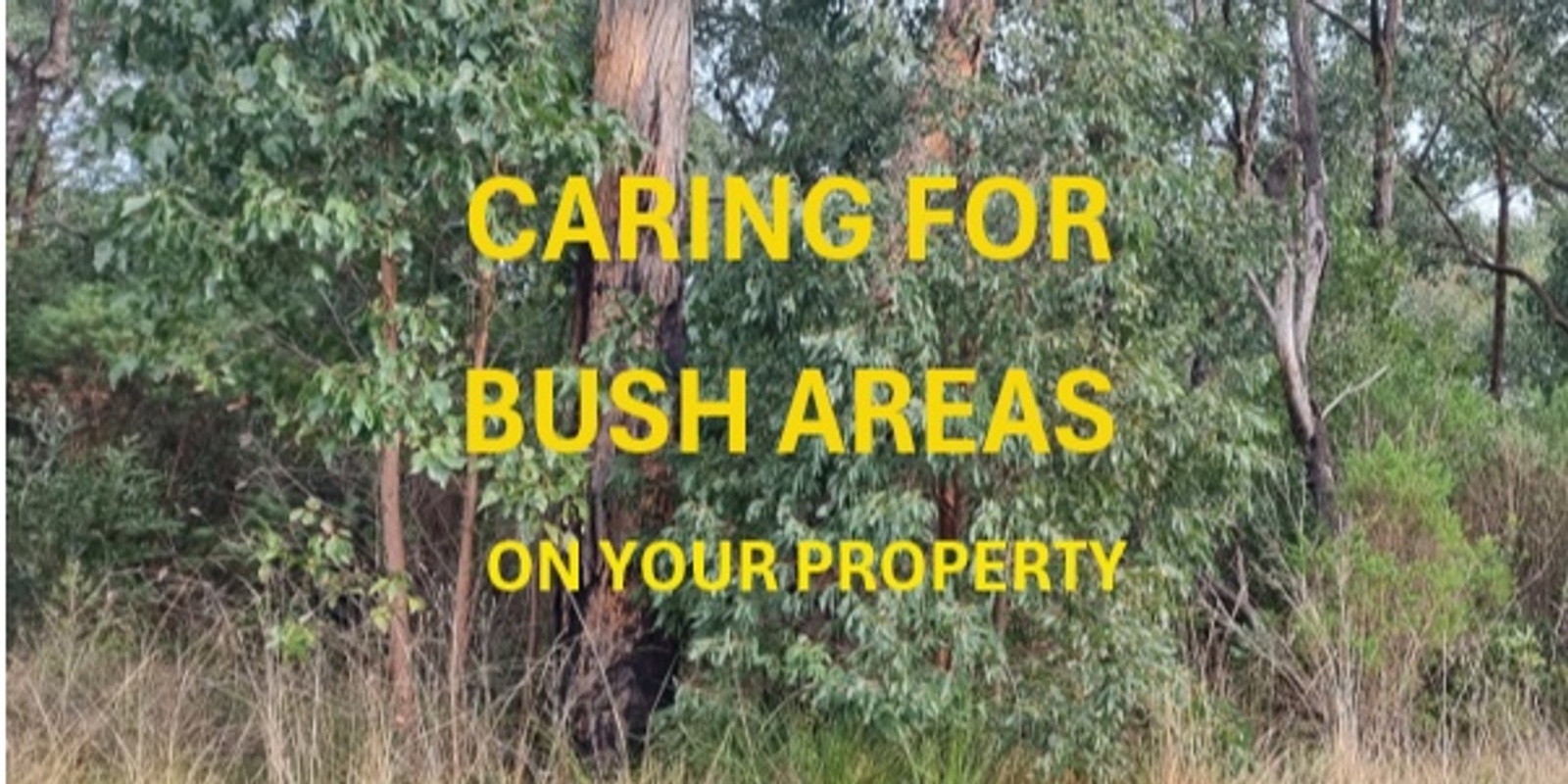 Banner image for Caring for Bush Areas on your Property