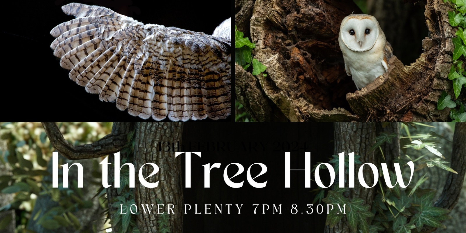 Banner image for IN THE TREE HOLLOW