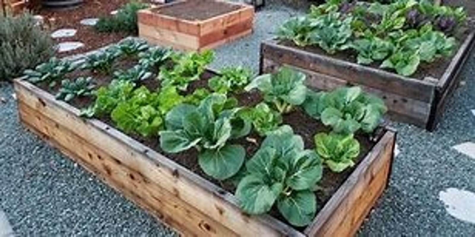 Banner image for Raised Bed Vegetable Gardening Workshop & Permabee