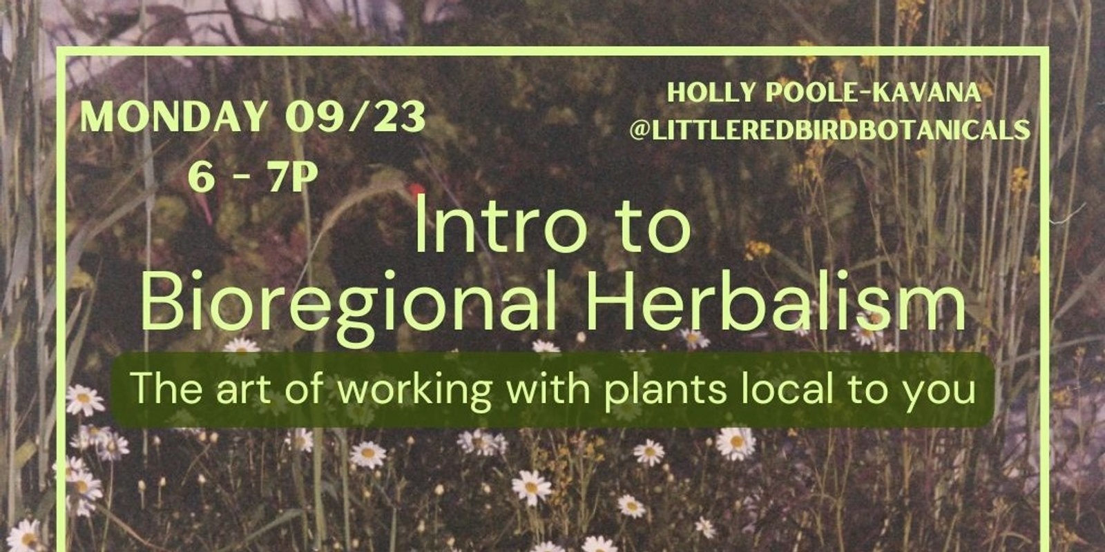 Banner image for Intro to Bioregional Herbalism