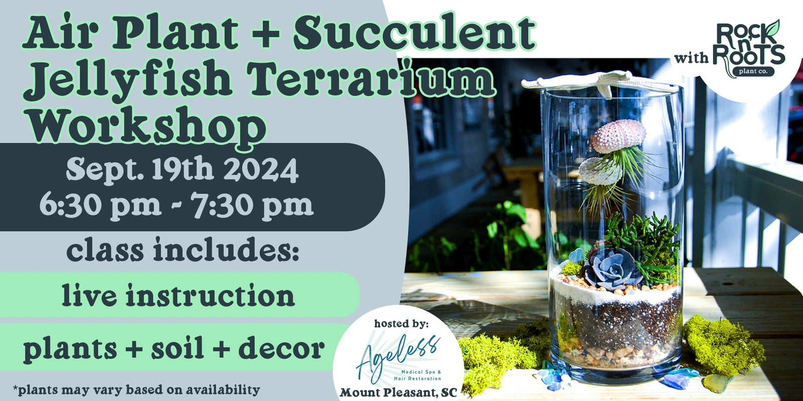 Banner image for Air Plant + Succulent Aquarium Terrarium Workshop at Ageless Medical Spa (Mount Pleasant, SC)