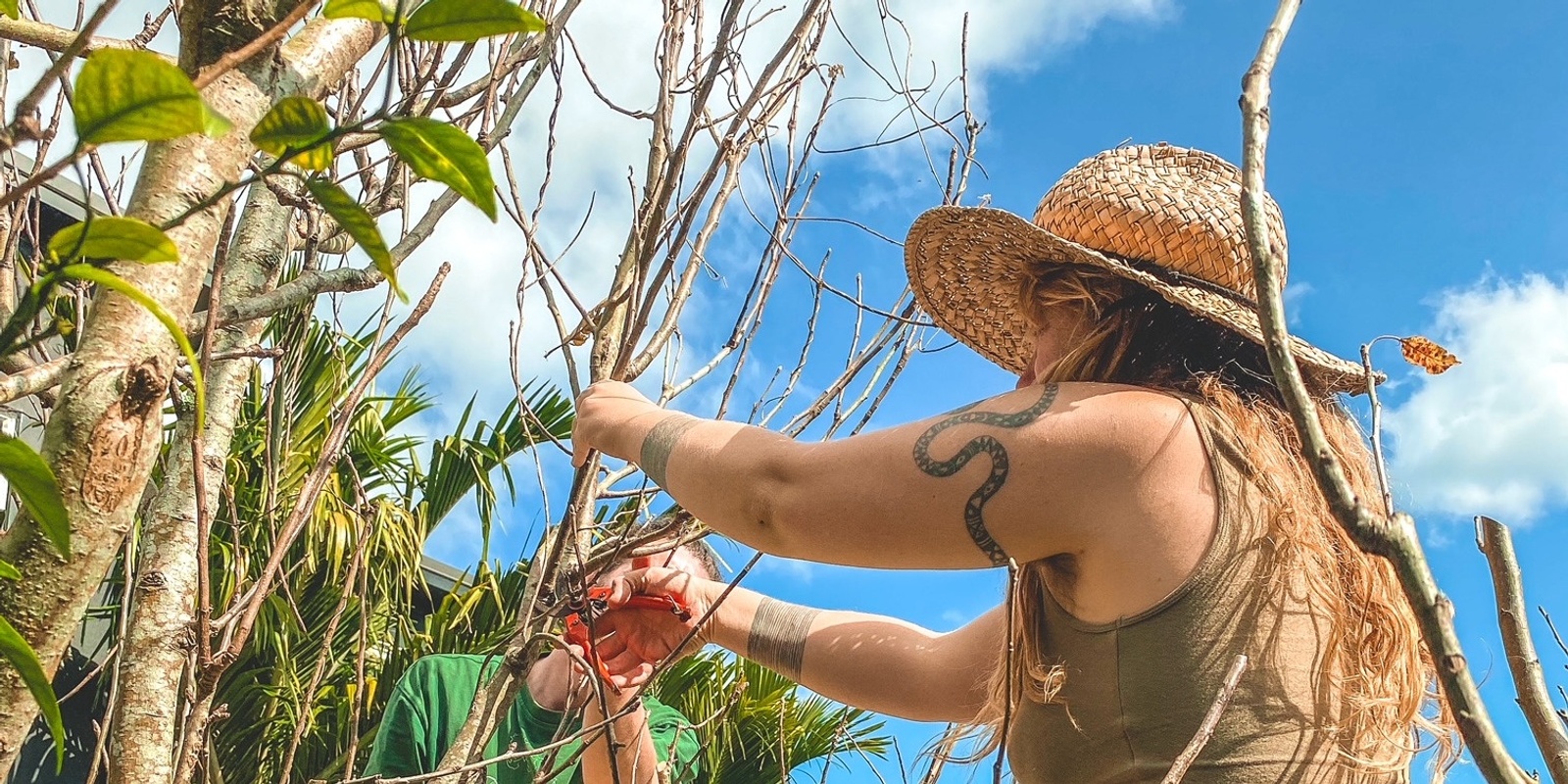 Banner image for Seasonal Pruning and Training with Judy Keats