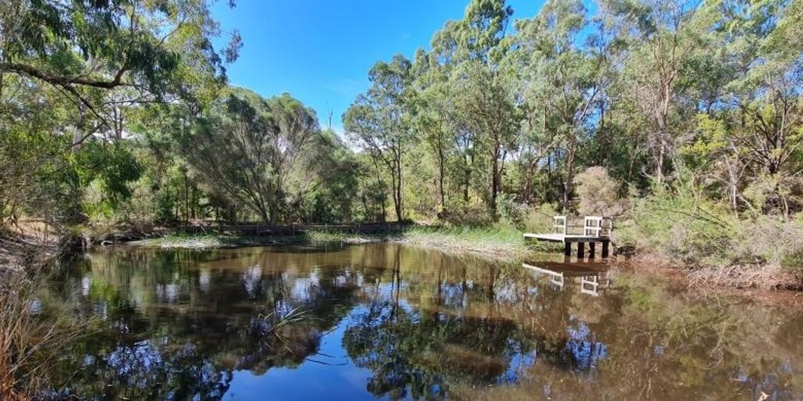 Banner image for Currawong Park - Local bush ramble in urban bushland - Grade 2 (easy)