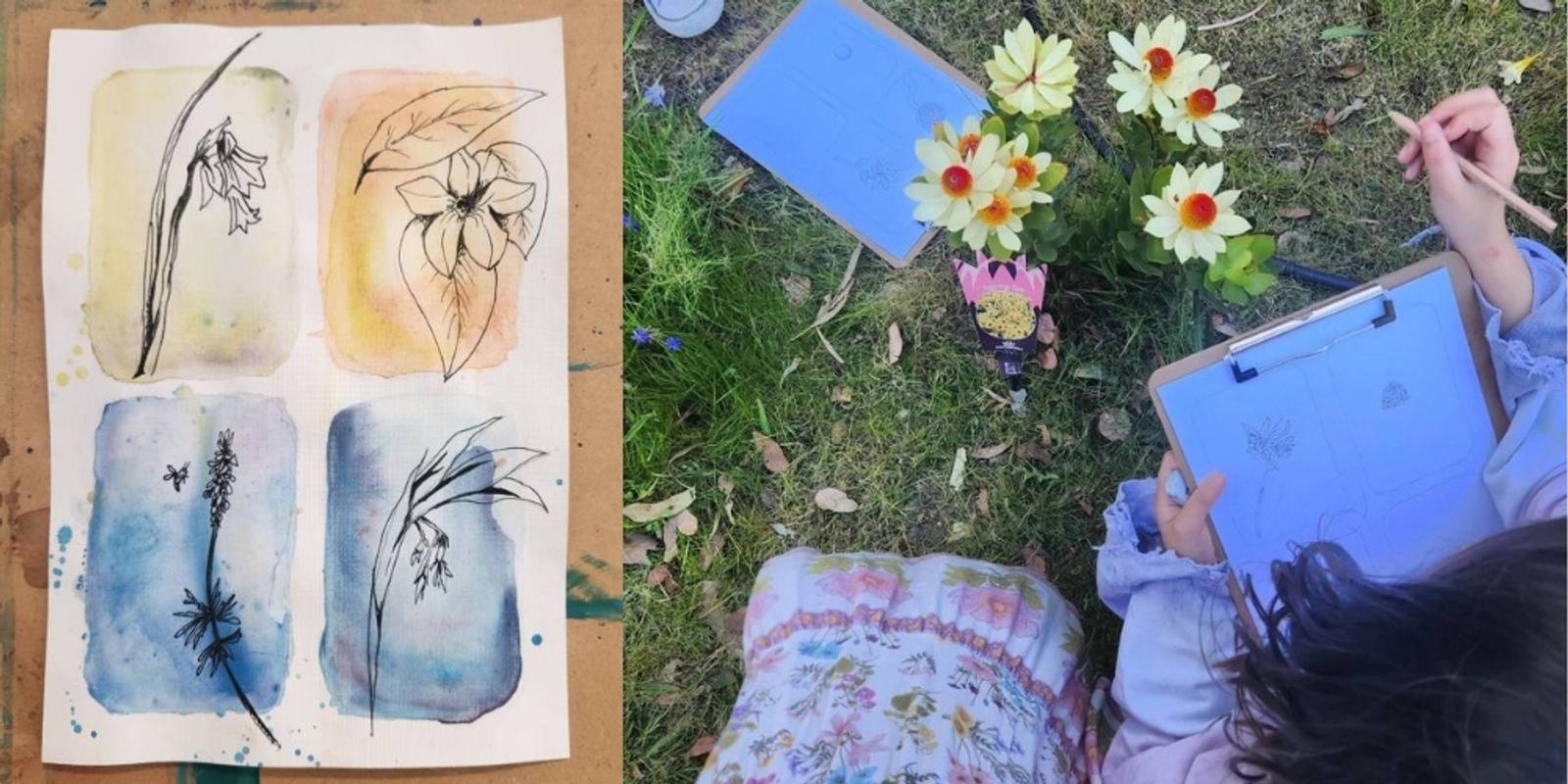 Banner image for Children's Workshop | Botanical Drawing at Carrick Hill