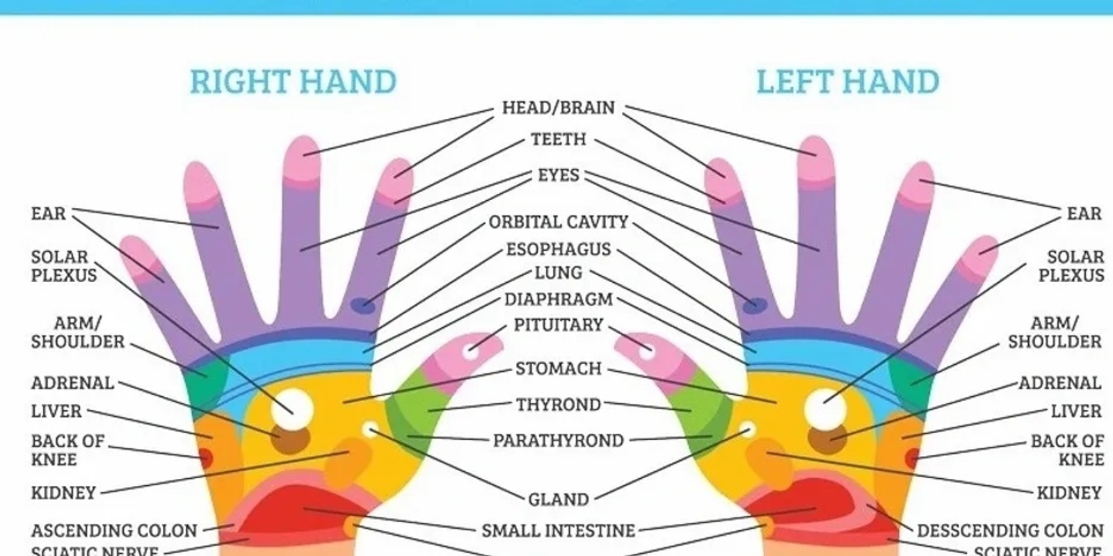 Banner image for Hand reflexology for all