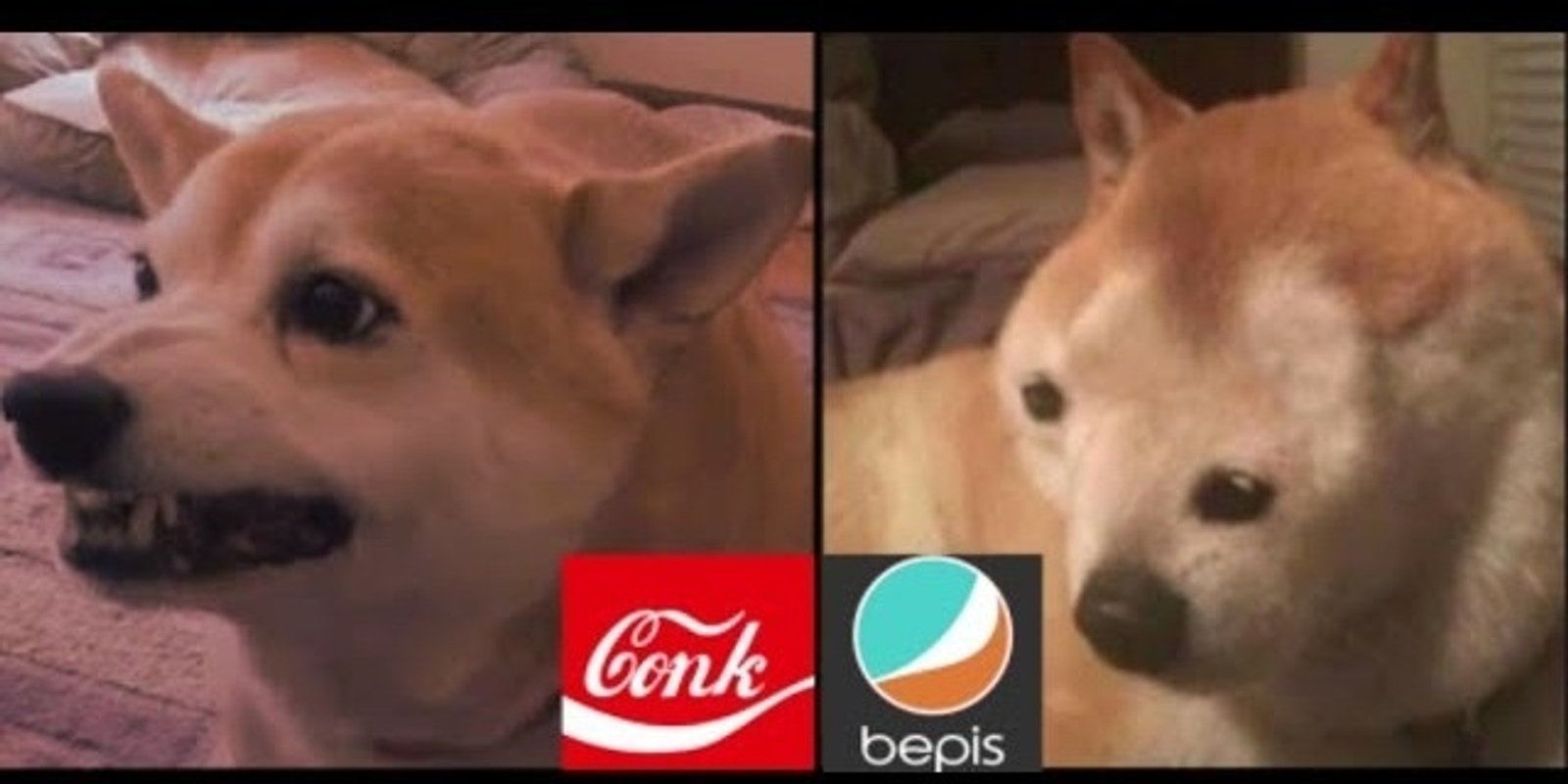 Bepis's banner