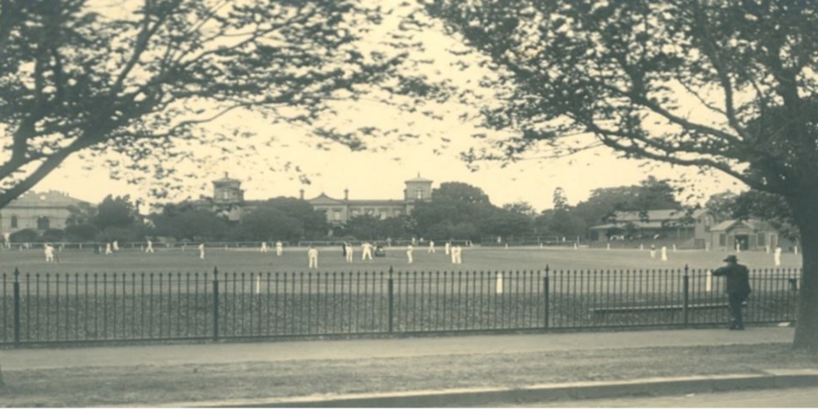 Banner image for An Afternoon at the Cricket