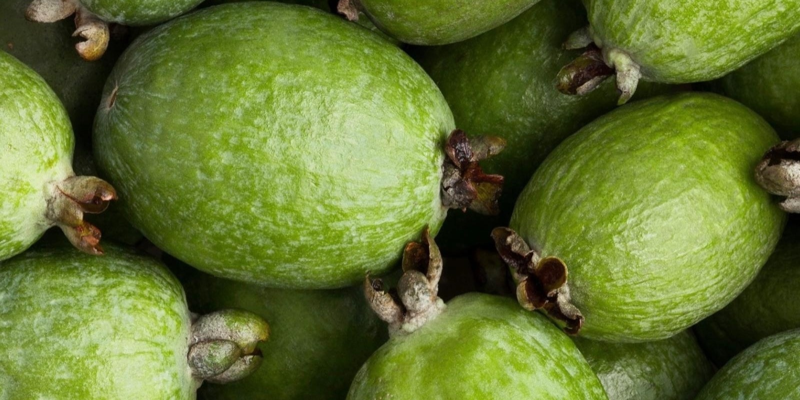 Banner image for Everybody Eats Supper Club: For the love of Feijoa