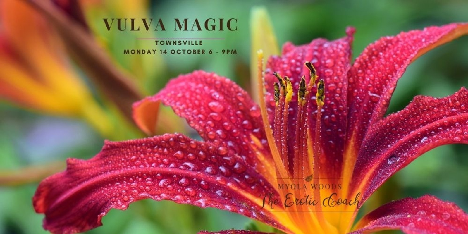 Banner image for Vulva Magic