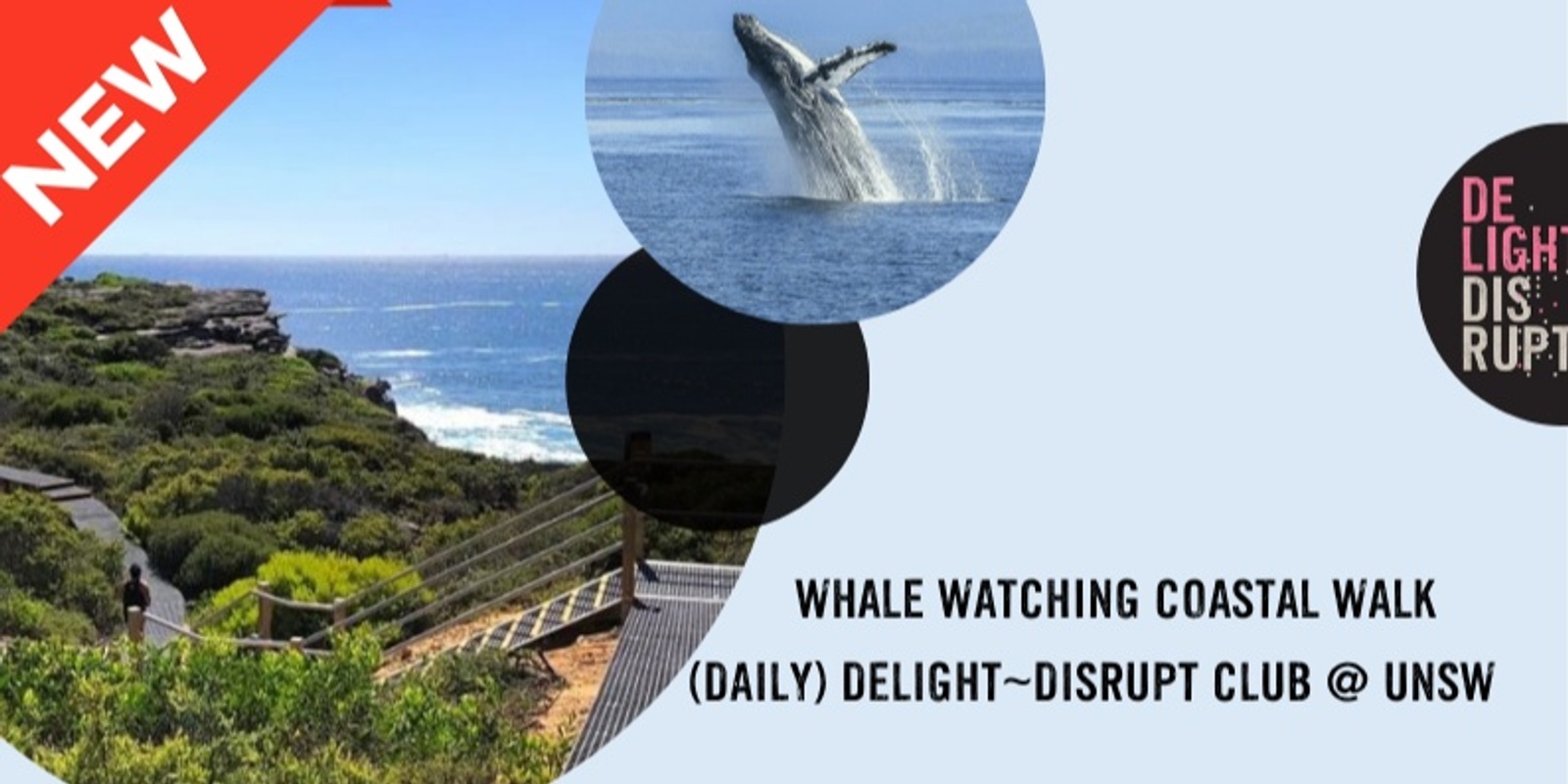 Banner image for Whale Watching Coastal Walk 