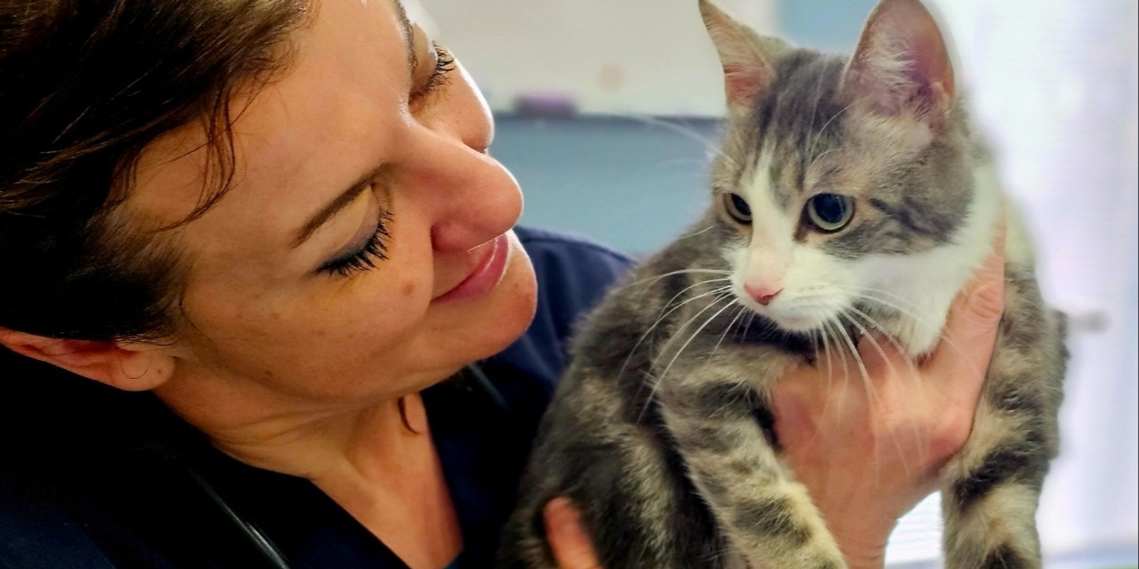 Banner image for RSPCA Cat Vaccination Event at Tarneit Community Learning Centre -- DEC