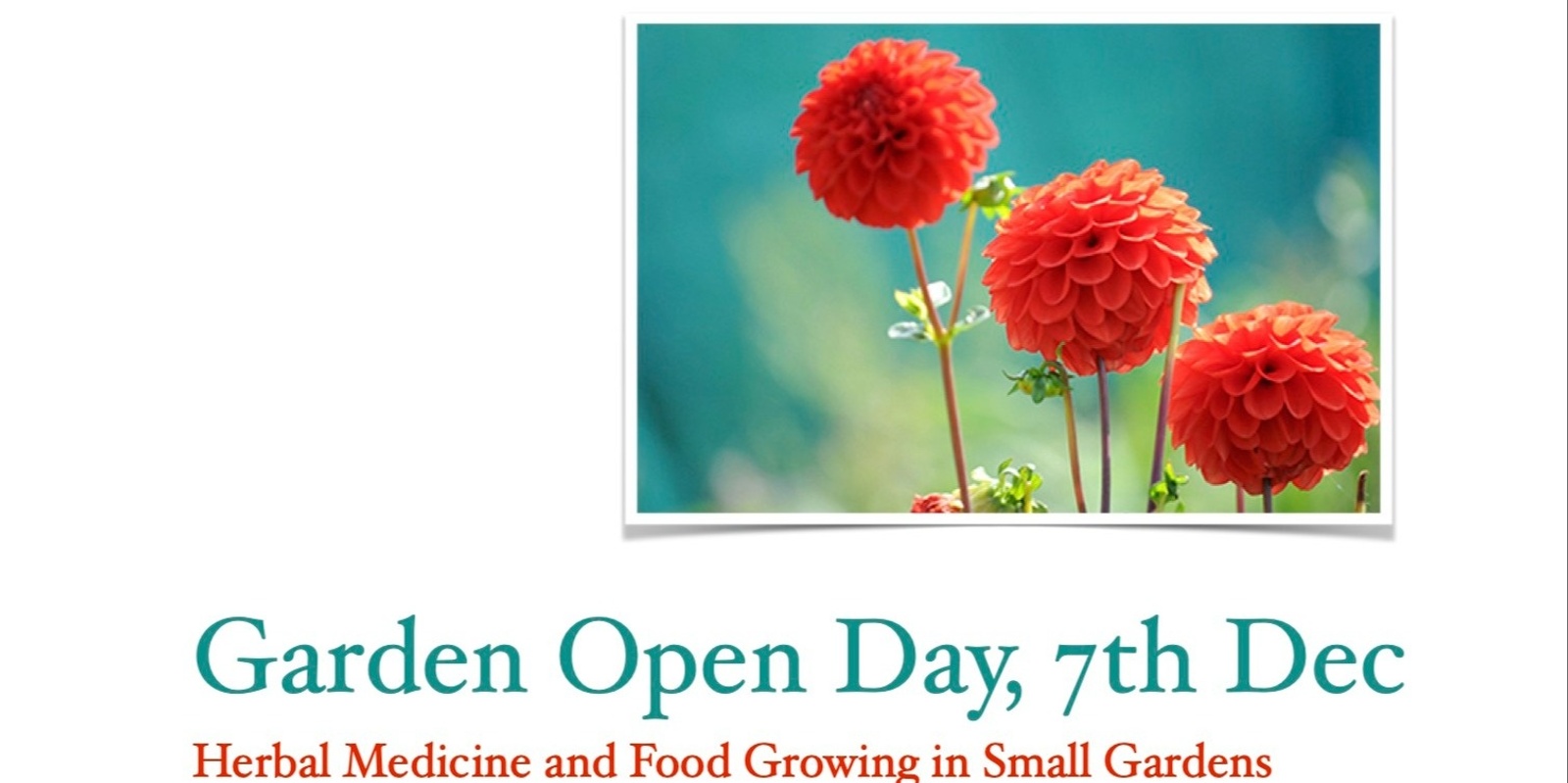 Banner image for Open Day Herbal Medicine and Food Growing in Small Garden - Mill Park