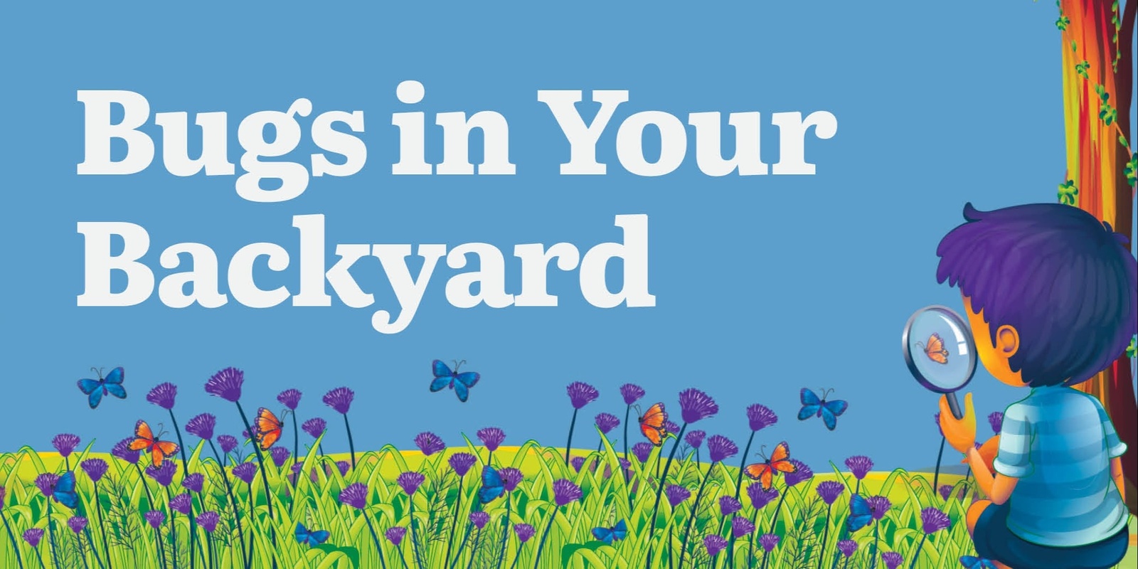 Banner image for Bugs in Your Backyard