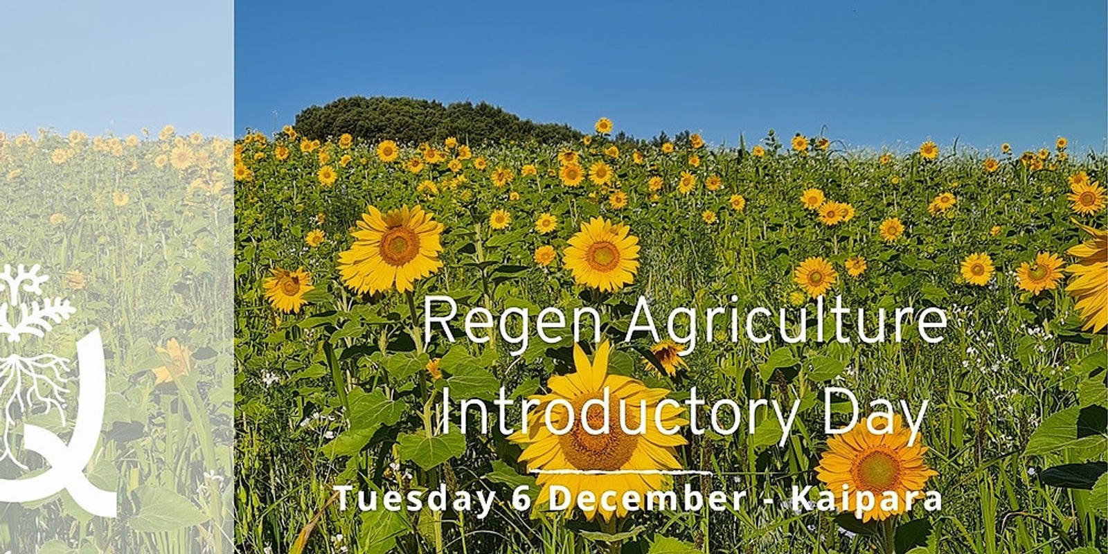 Banner image for Kaipara Regen Agriculture Introductory Day