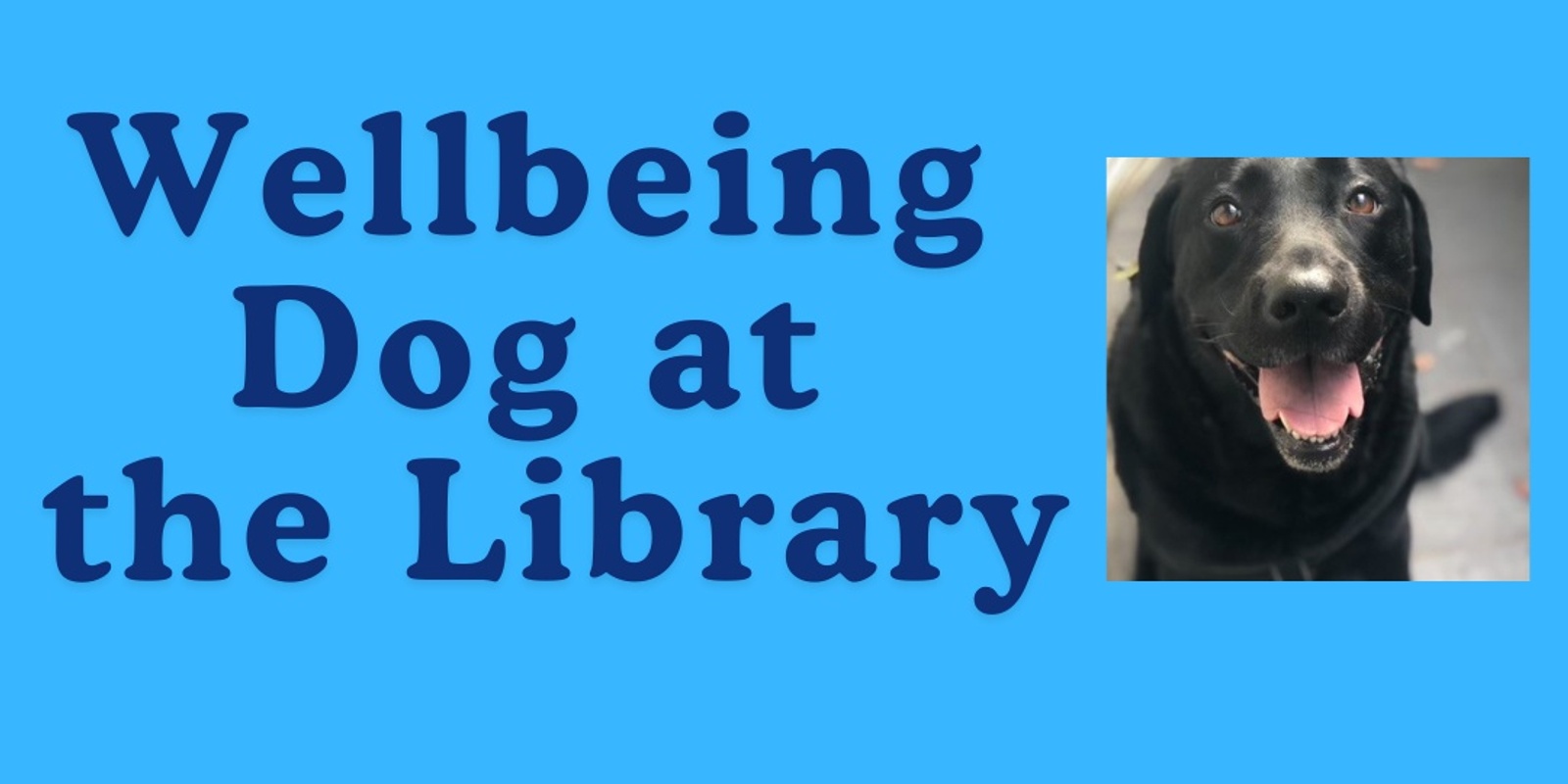 Banner image for Visit with a Wellbeing Dog at the Library 