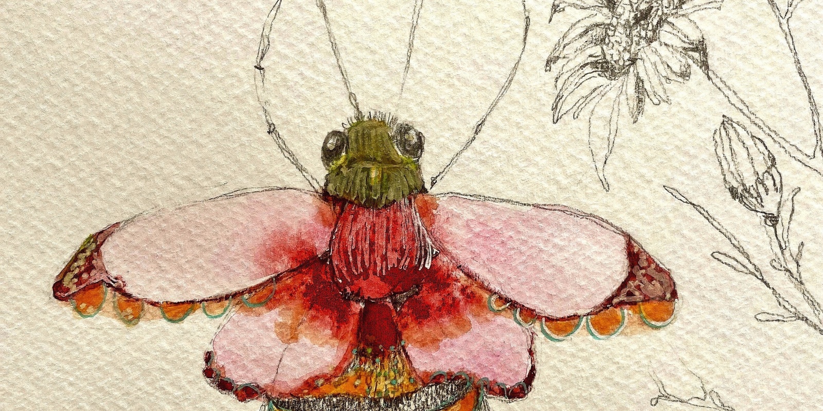 Banner image for Botanical Bees Workshop in Water colour and ink