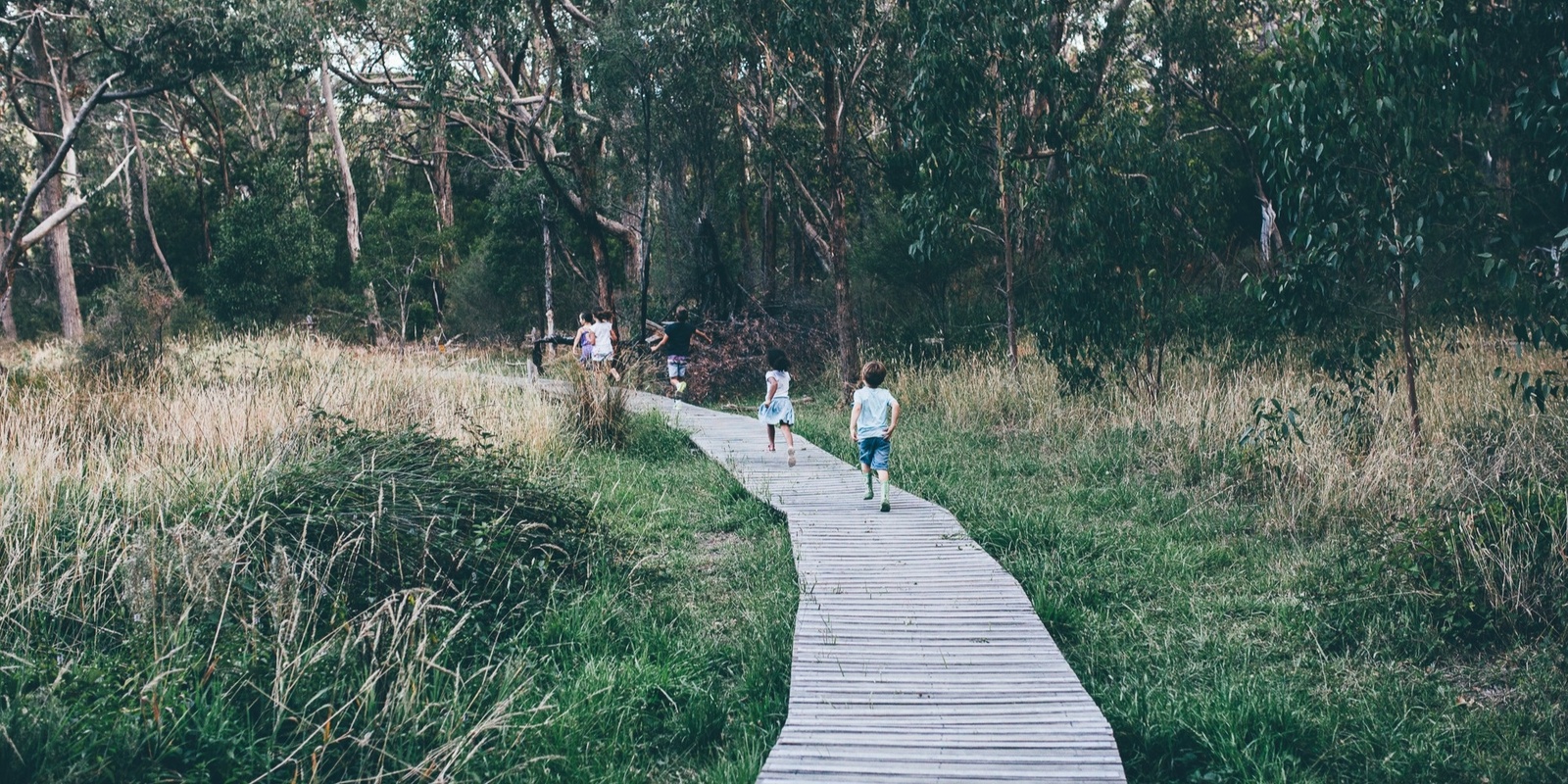 Banner image for Family Nature Walk in the Adelaide Hills, Woorabinda Bushland Reserve