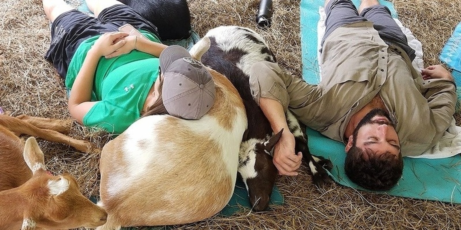 Banner image for Goat and Horse Snuggles to Benefit Non-profits