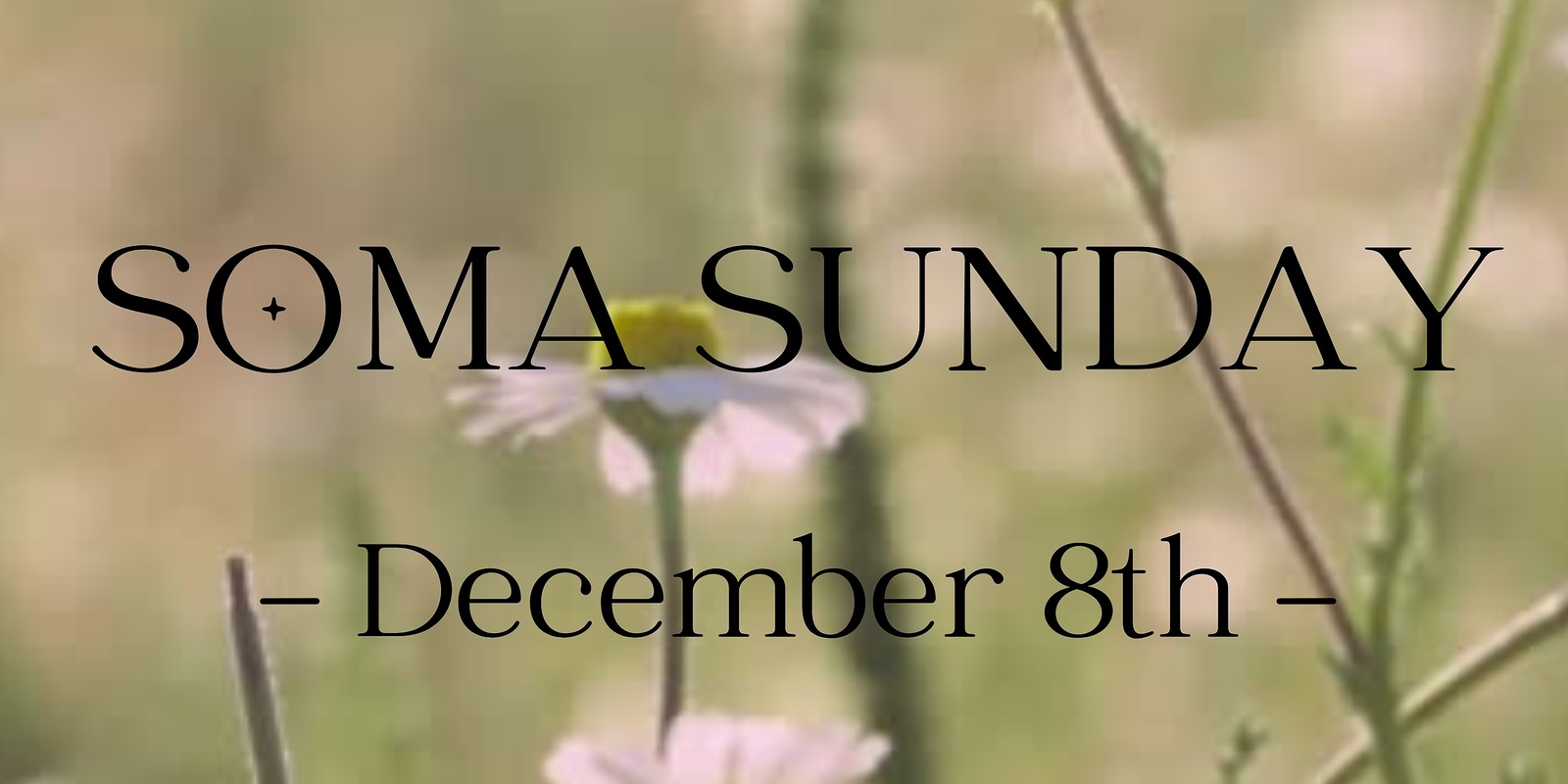 Banner image for Soma Sunday :: Dec 2024