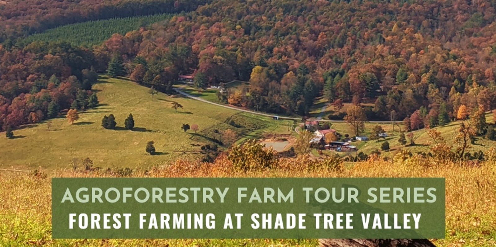 Banner image for Forest Farming Tour at Shade Tree Valley
