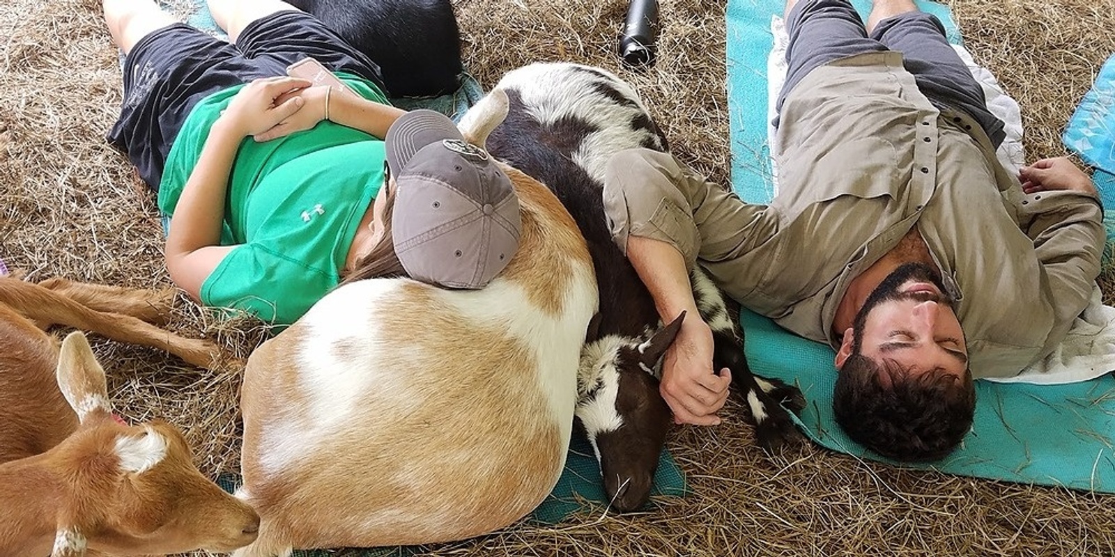Banner image for Goat and Horse Snuggles